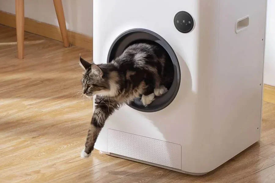 scoopfree automatic litter box